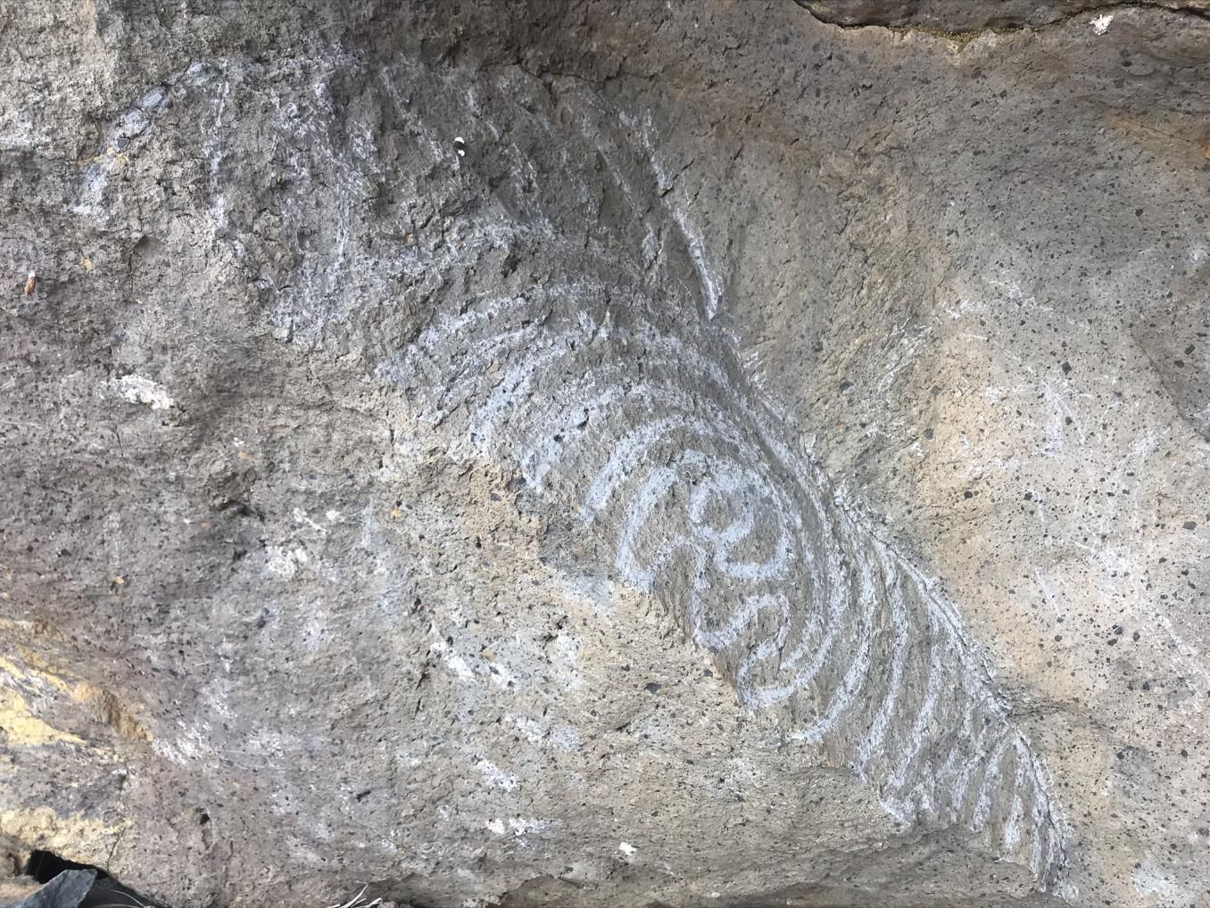 Imagen del falso grabado rupestre. JORGE PAIS