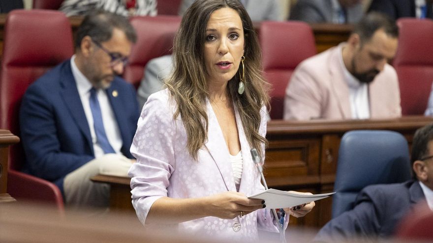 Turismo de Canarias, tras anunciar 12 millones de plazas aéreas para el verano, dice que ya ha iniciado el "cambio de modelo" que pide el 20A