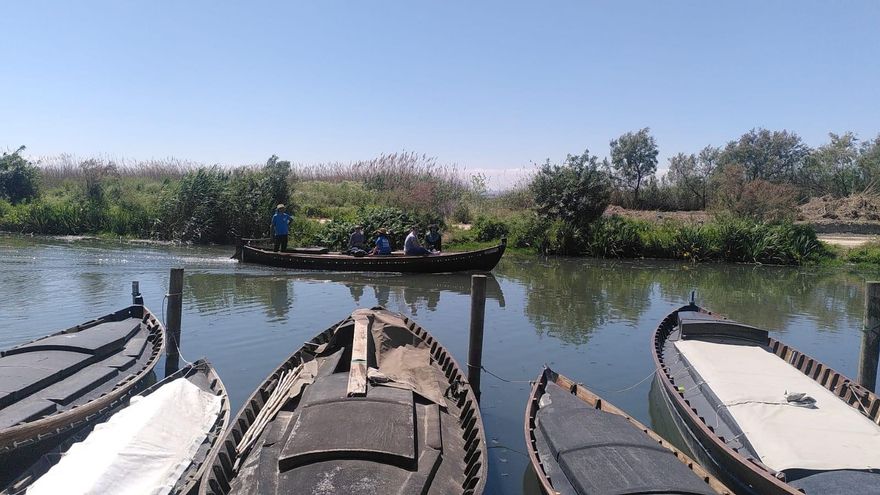 La recuperación de l'Albufera de València se estanca tras la dana entre "lluvias de millones" y vertidos persistentes