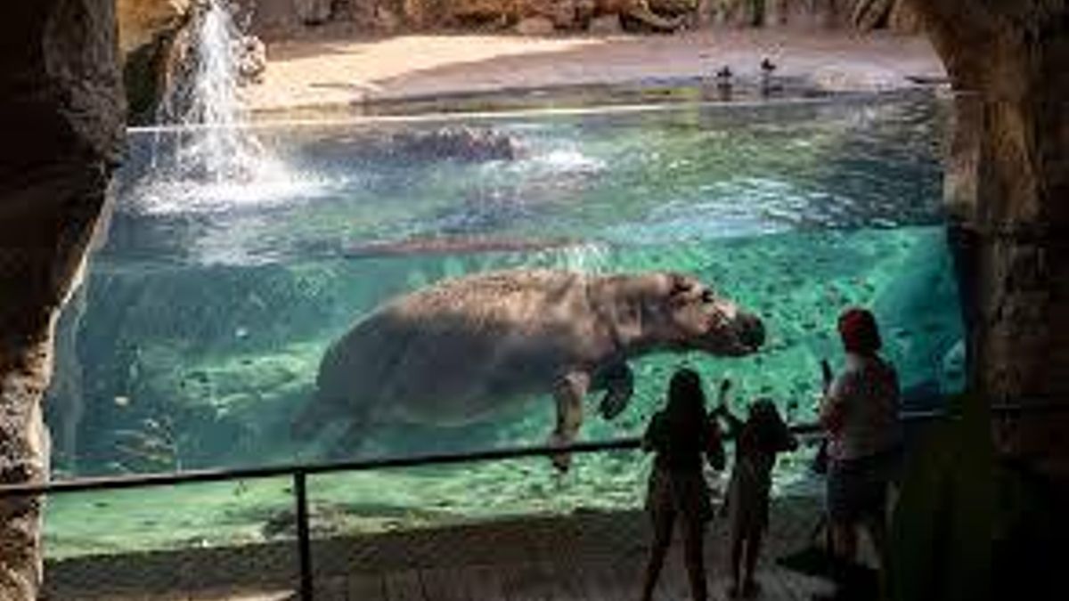 Los Bioparc defienden la conservación de la naturaleza.