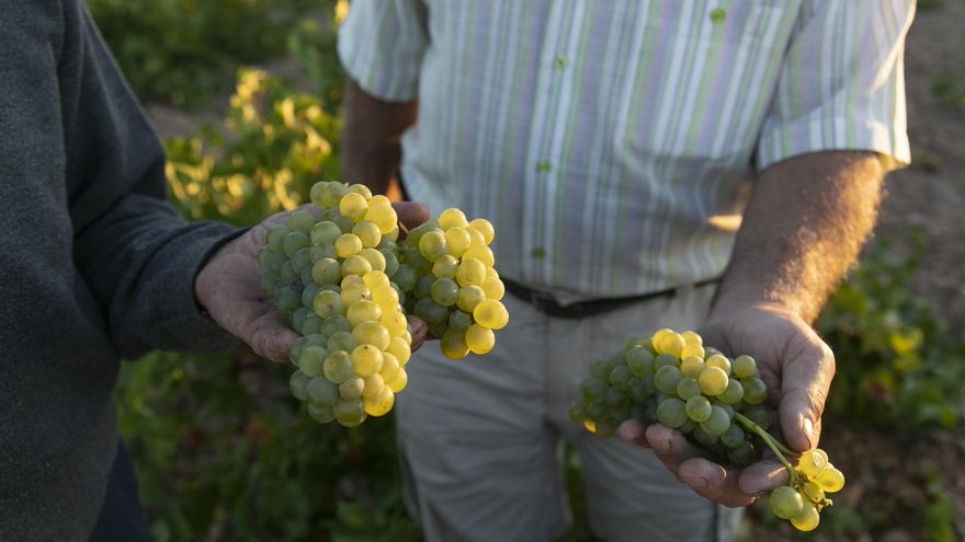 ¡No soporto las 12 uvas de fin de año! Las 5 alternativas más deliciosas para acompañar las campanadas