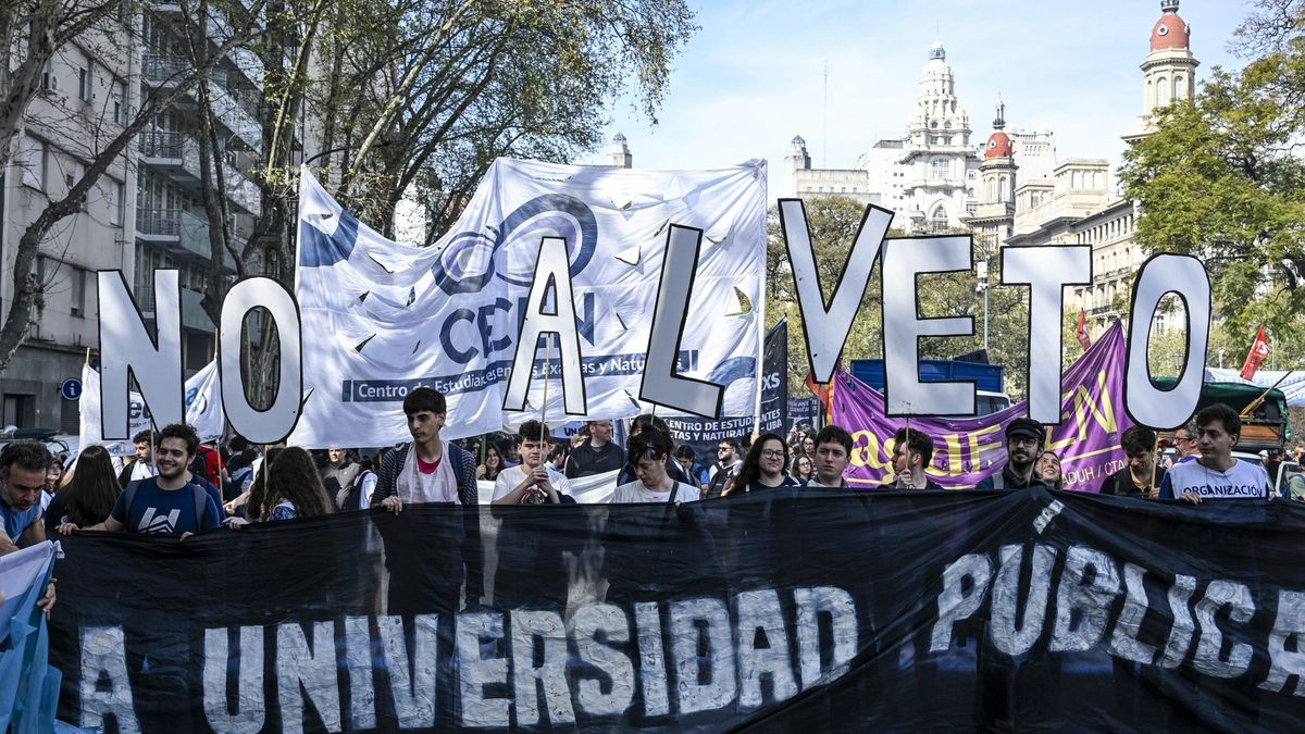 Miles de personas movilizaron al Congreso en contra del veto