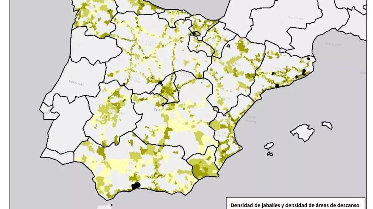 Mapa de densidad de jabalíes por término municipal