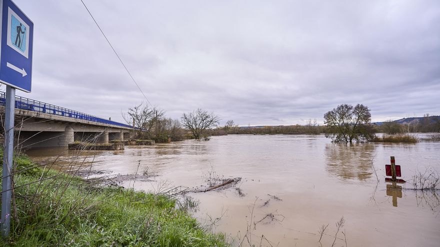 El caudal del Tajo a su paso por Talavera se mantiene estable y baja a 500 metros cúbicos por segundo