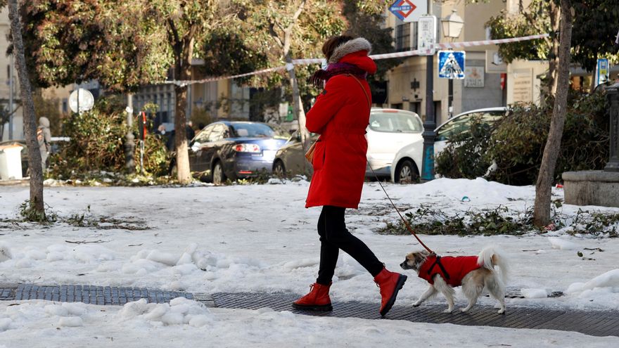 Una mujer pasea con su perro por el centro de Madrid. EFE/Chema Moya