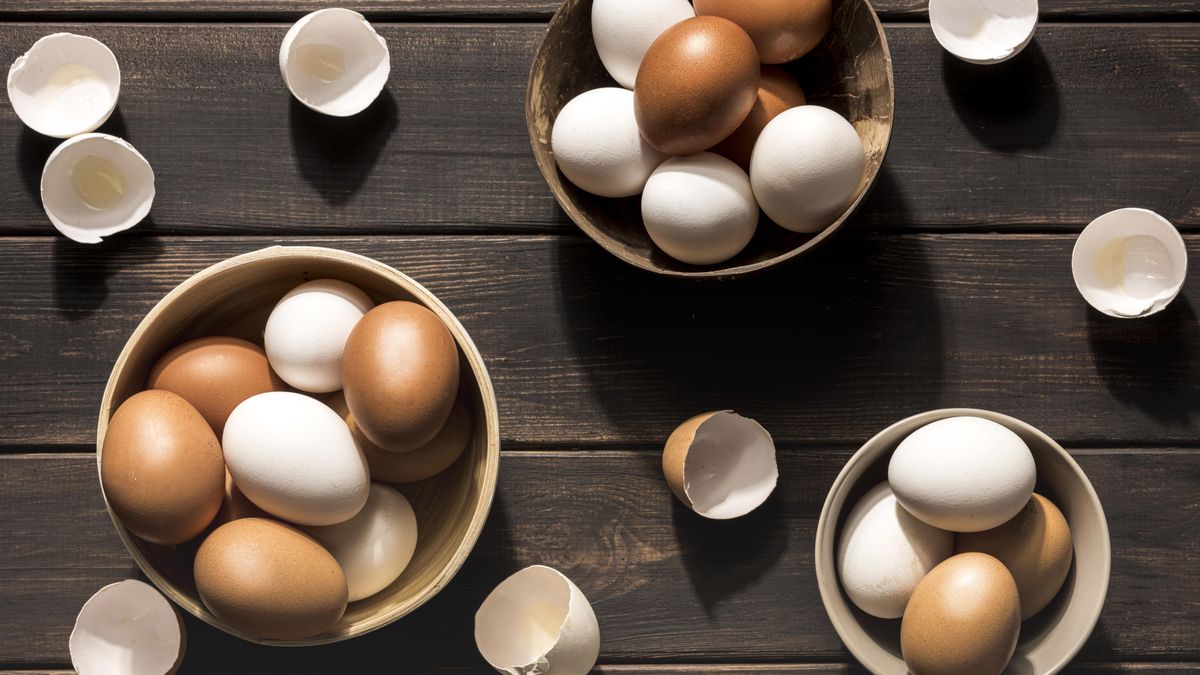 ¿Huevos blancos o marrones? Qué diferencias hay entre ellos y qué factores considerar al hacer la compra