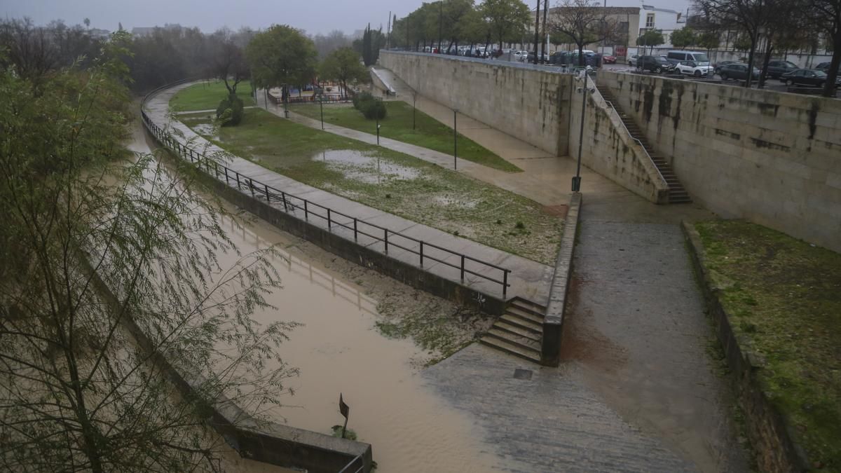 Bajada del nivel del río a su paso por Córdoba