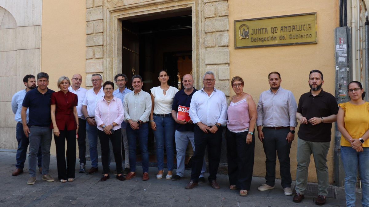 Alcaldes socialistas reclaman a la Junta de Andalucía recursos para hacer frente al virus del Nilo