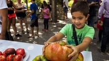 Feria del Tomate en Fontanar (Guadalajara) en una edición anterior