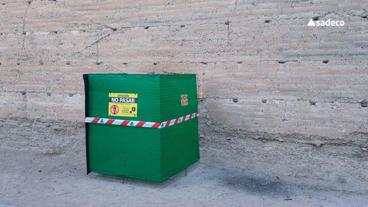 Sadeco actúa contra la presencia de ratas en el Muro de San Basilio