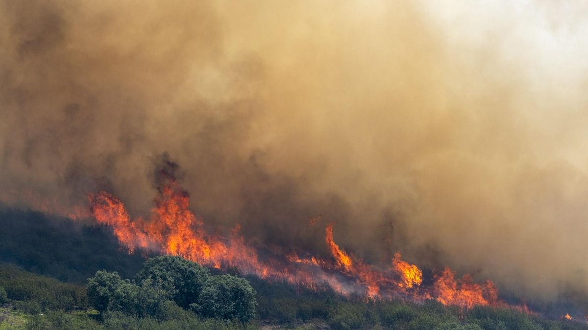 El incendio de la Sierra de Guadalajara