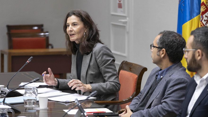 Caso Mascarillas: la presidenta de la Agencia Tributaria Canaria sostiene que hace "lo posible" para recuperar los 4 millones de RR7