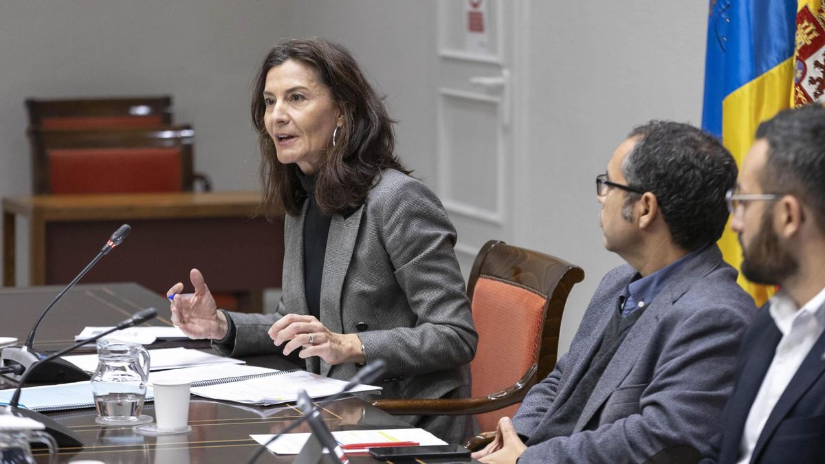 La directora de la Agencia Tributaria Canaria, Raquel Peligero Molina, durante su comparecencia en la comisión de investigación para analizar las responsabilidades políticas inherentes a la gestión de la contratación por el Servicio Canario de la Salud del Gobierno de Canarias del material sanitario para hacer frente a los efectos de la COVID-19.