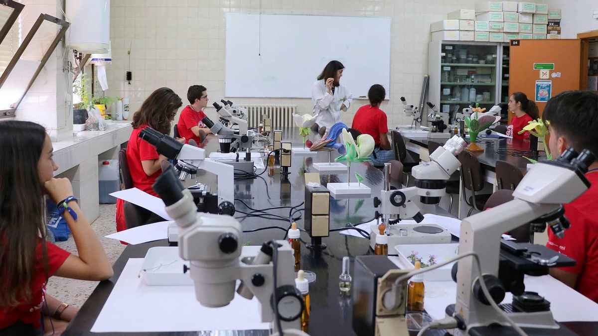 La Universidad de León programa una nueva edición del ‘Campus científico de verano’ para 2026