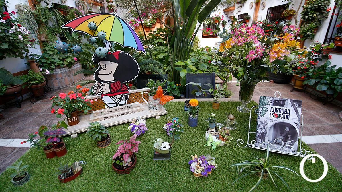 Patio Chaparro, 3- 2022