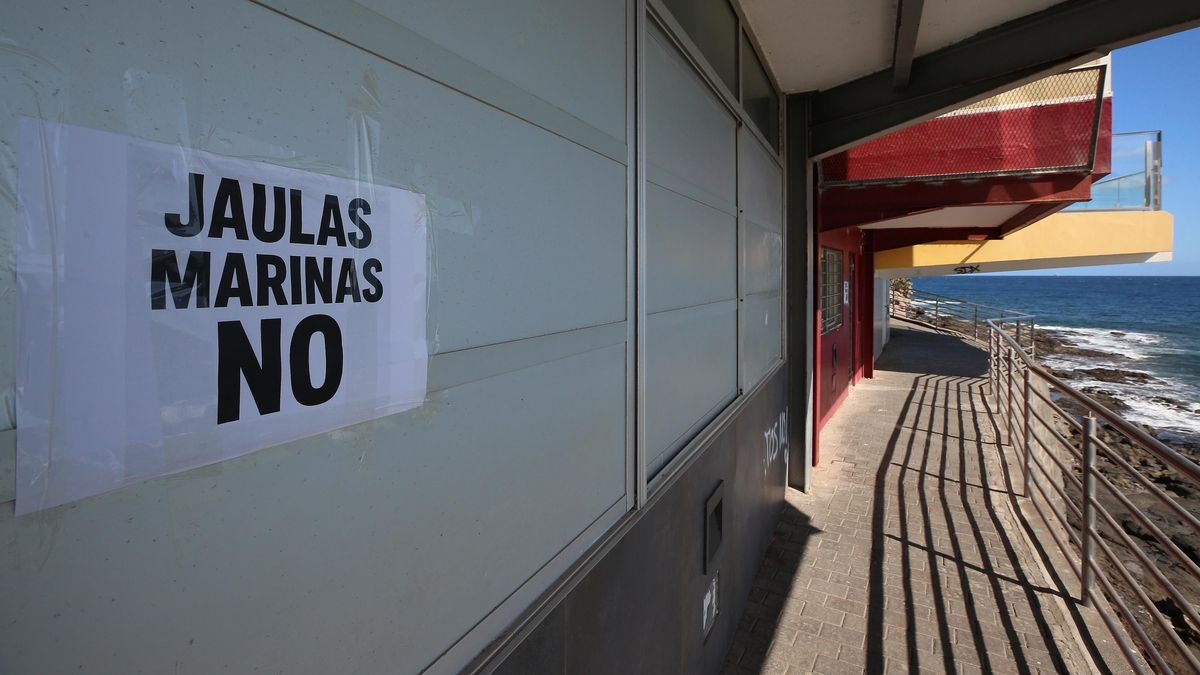 Cartel contra las jaulas Marinas en Playa de Salinetas, Telde