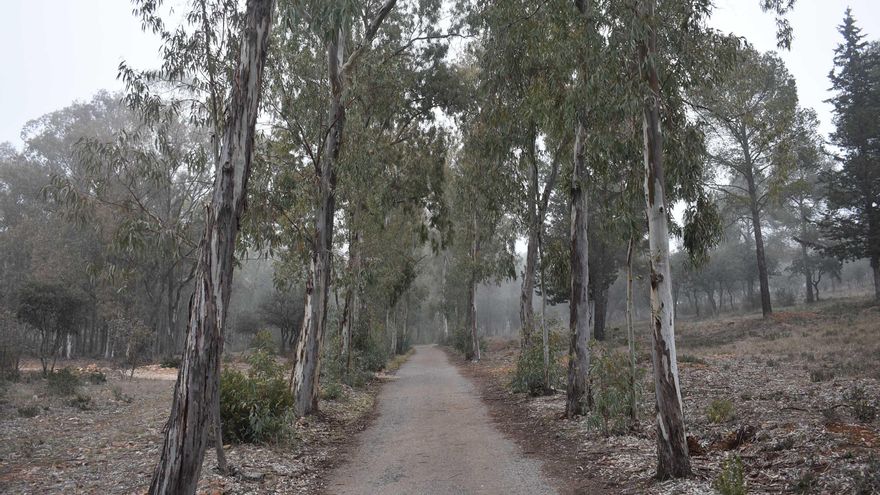 Parque Forestal de la Atalaya
