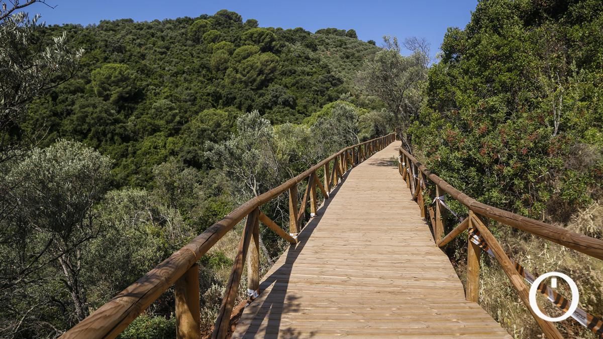 Construcción de la pasarela y el paso subterráneo del Cinturón Verde