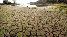 Foto: Greenpeace