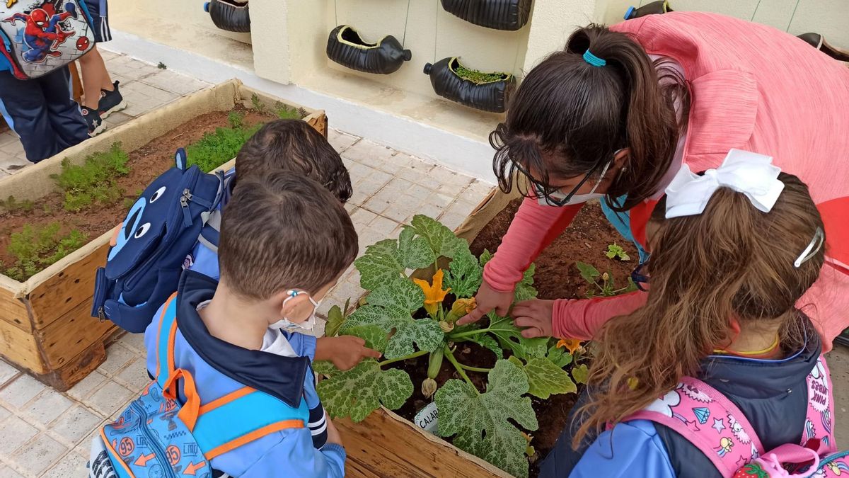 CEIP Nieves Toledo, en Lanzarote