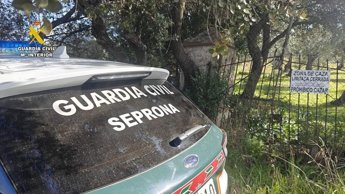 La Justicia abre juicio contra un hombre por mentir en un juicio para ayudar a amigo condenado por furtivismo