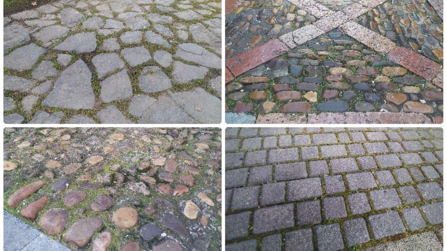 Verdín en el Jardín del Cid, en el Hospital de Regla, en Botines y en las Cercas.