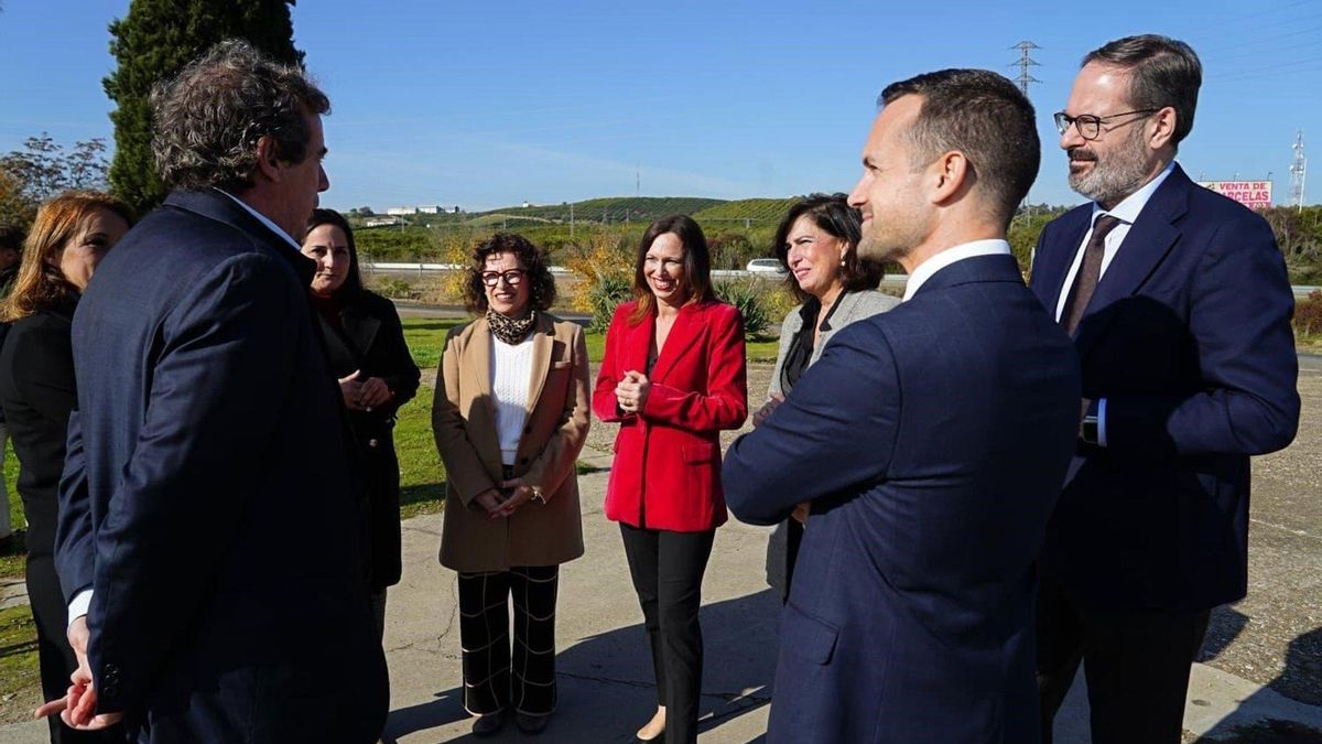 La Junta licita por un millón de euros la pasarela peatonal sobre la carretera A-431 en Palma del Río