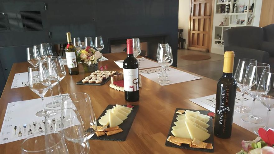 Cata en Bodega Finca Antigua, en Los Hinojosos.