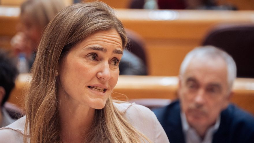 La vicepresidenta tercera y ministra para la Transición Ecológica y el Reto Demográfico, Sara Aagesen, durante una sesión de control al Gobierno en el Senado, a 11 de febrero de 2025, en Madrid (España). El Gobierno se enfrenta a la primera sesión de cont