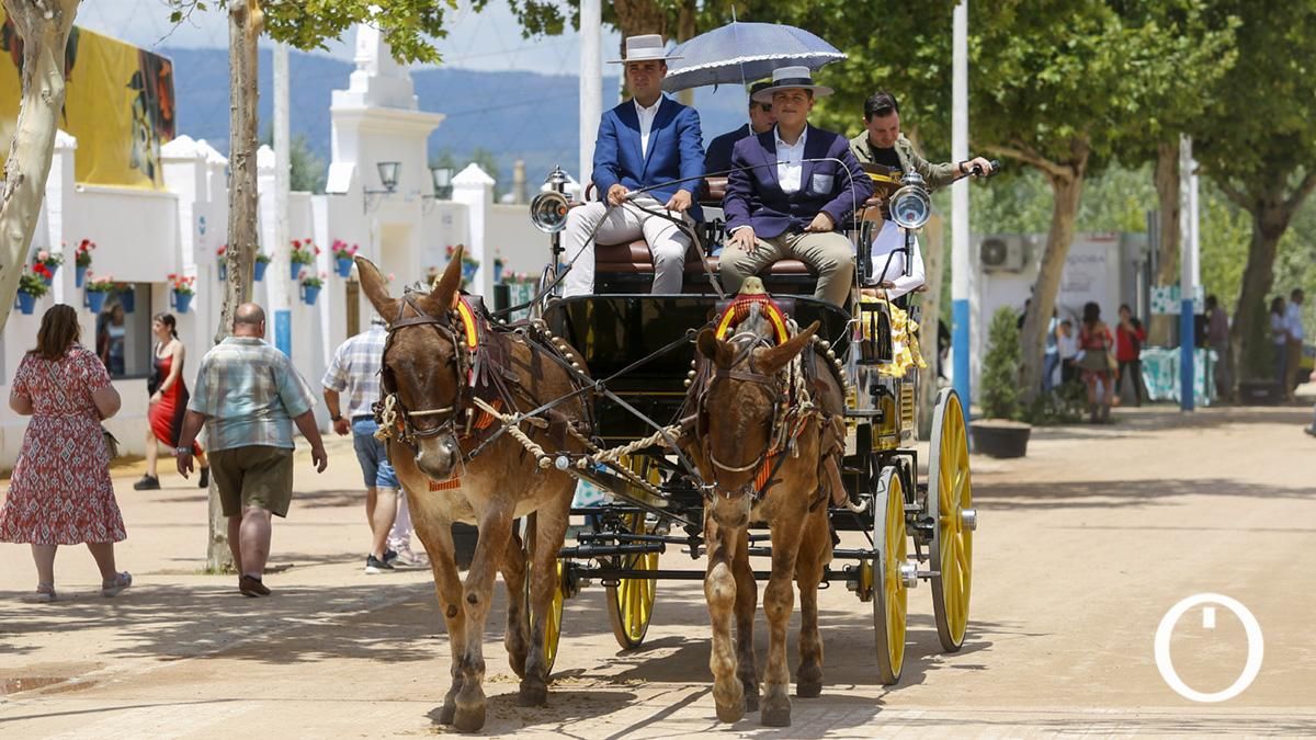 Miércoles de Feria en el Arenal