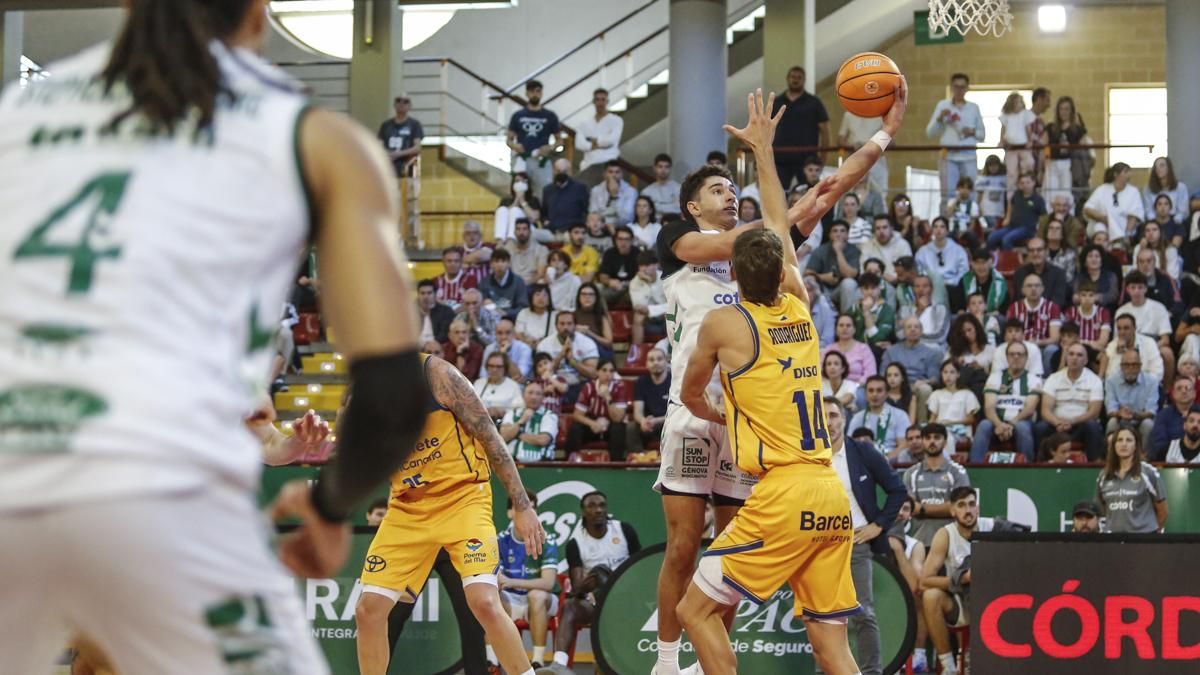 Cajasol Coto Córdoba - Cajasiete Gran Canaria