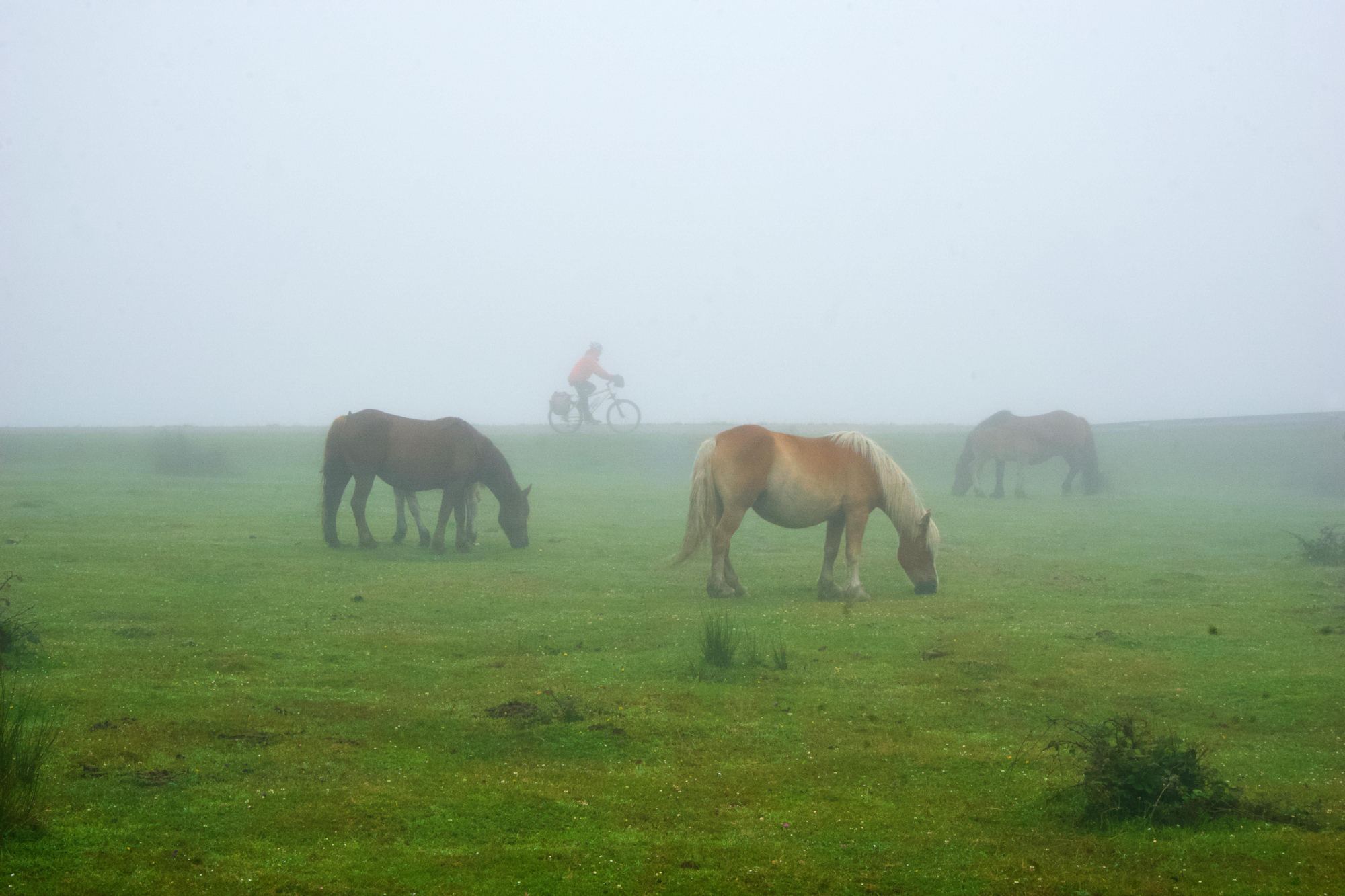 Niebla en el alto de La Matanela