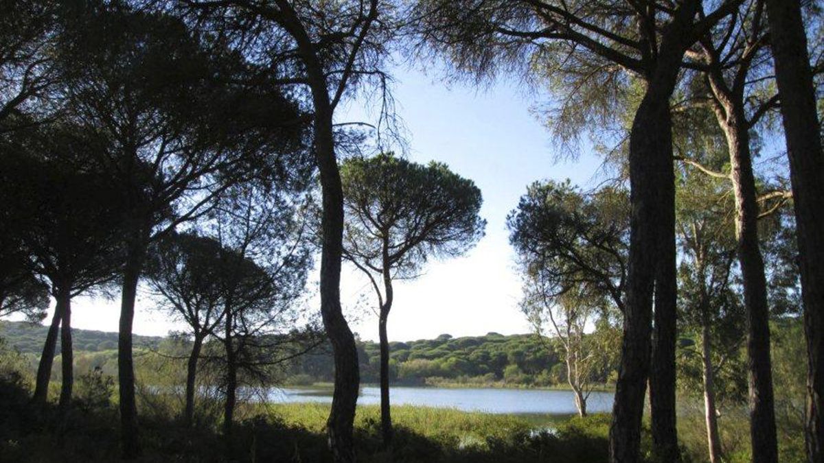 Estero Domingo Rubio