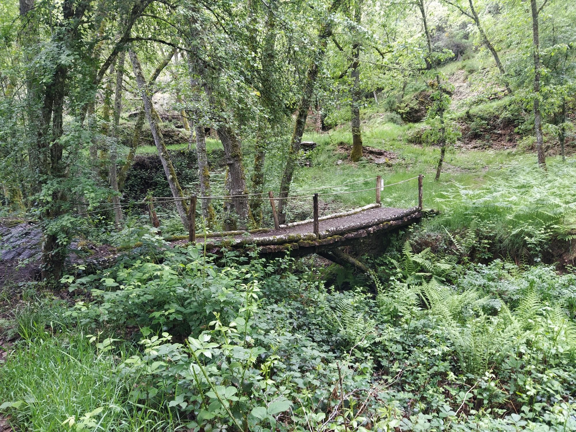 Puente sobre el arroyo Rigo
