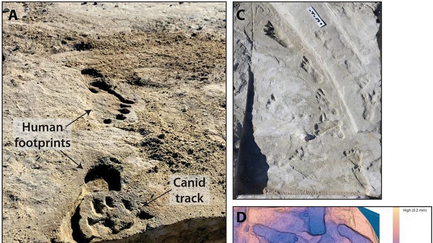 Una investigación revela cómo el cambio climático alteró el paisaje de los primeros humanos en Estados Unidos