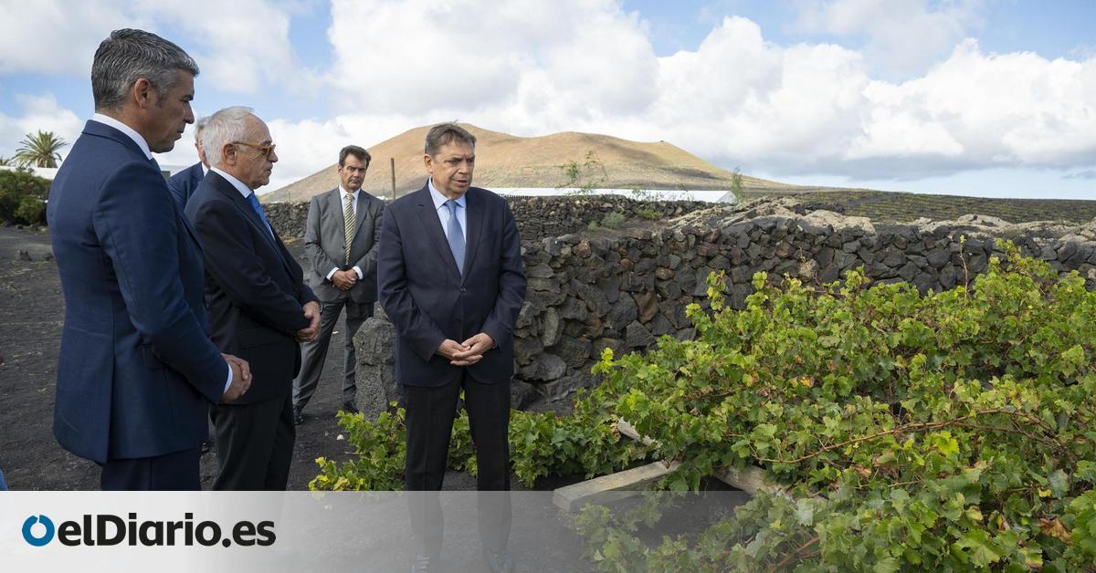 El ministro de Agricultura, sobre la filoxera en Tenerife: “Mucho cuidado porque es algo muy preocupante y peligroso”
