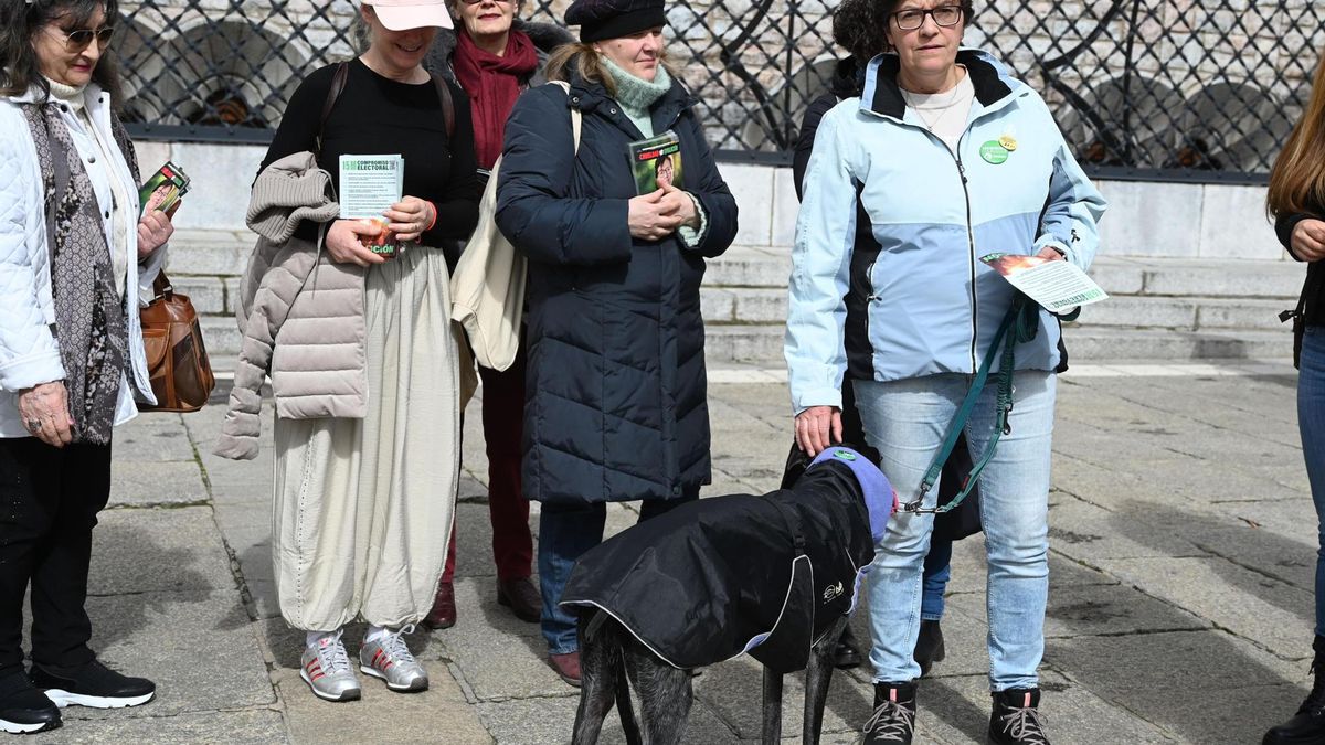 Pacma sitúa la defensa del lobo en el centro de su campaña en León