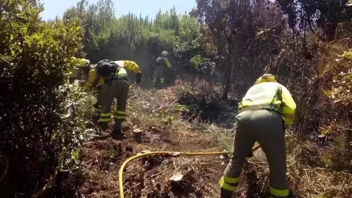 El Gobierno de Canarias actualiza la alerta por riesgos de incendios forestales