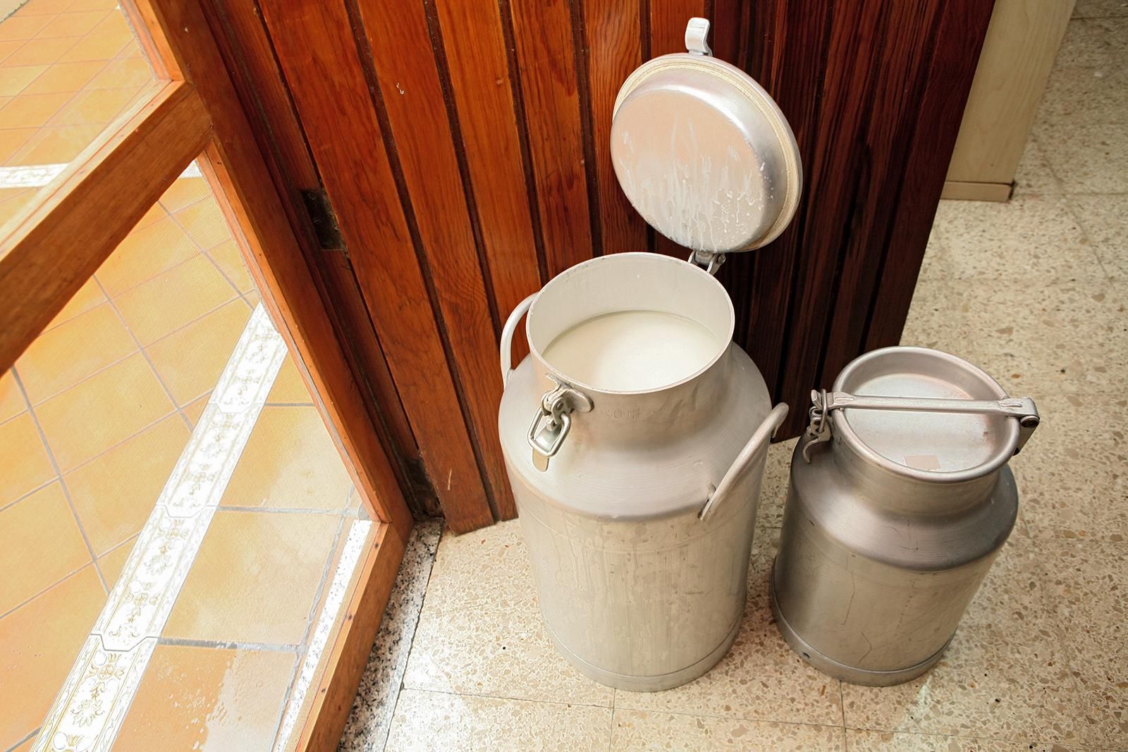 Lecheras con leche de cabra recién ordeñada (ALEJANDRO RAMOS)