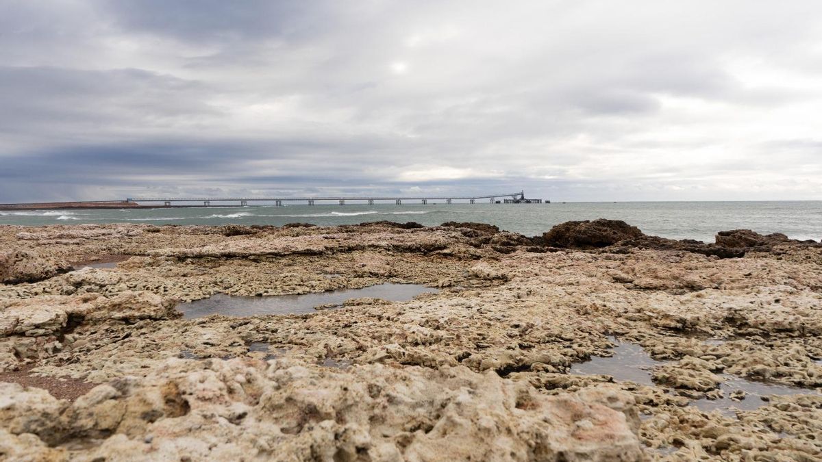 Punta Colorada, donde se planifica instalar el proyecto de exportación petrolera. Foto: cortesía Luciano Cutrera