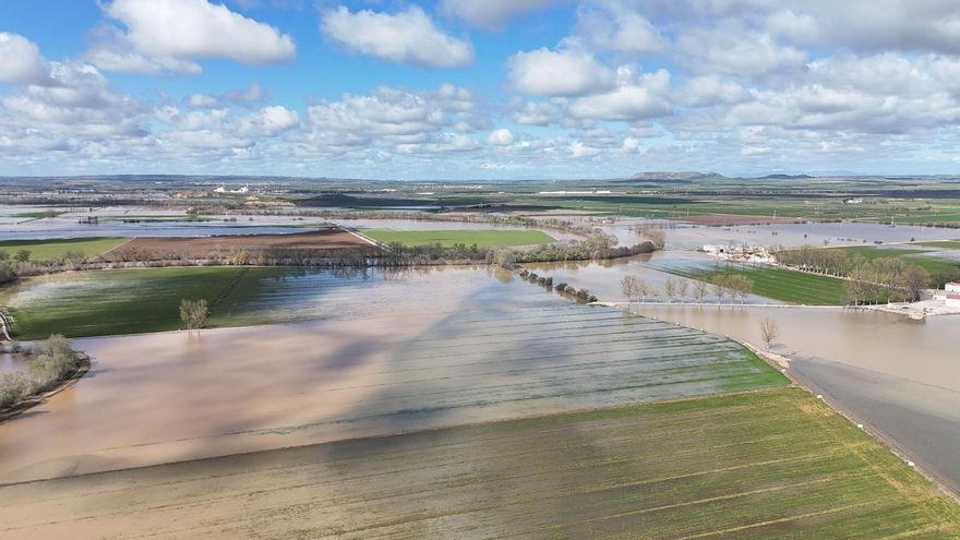 Agricultores de Toledo también preparan una reclamación a la Confederación del Tajo por los daños de las inundaciones