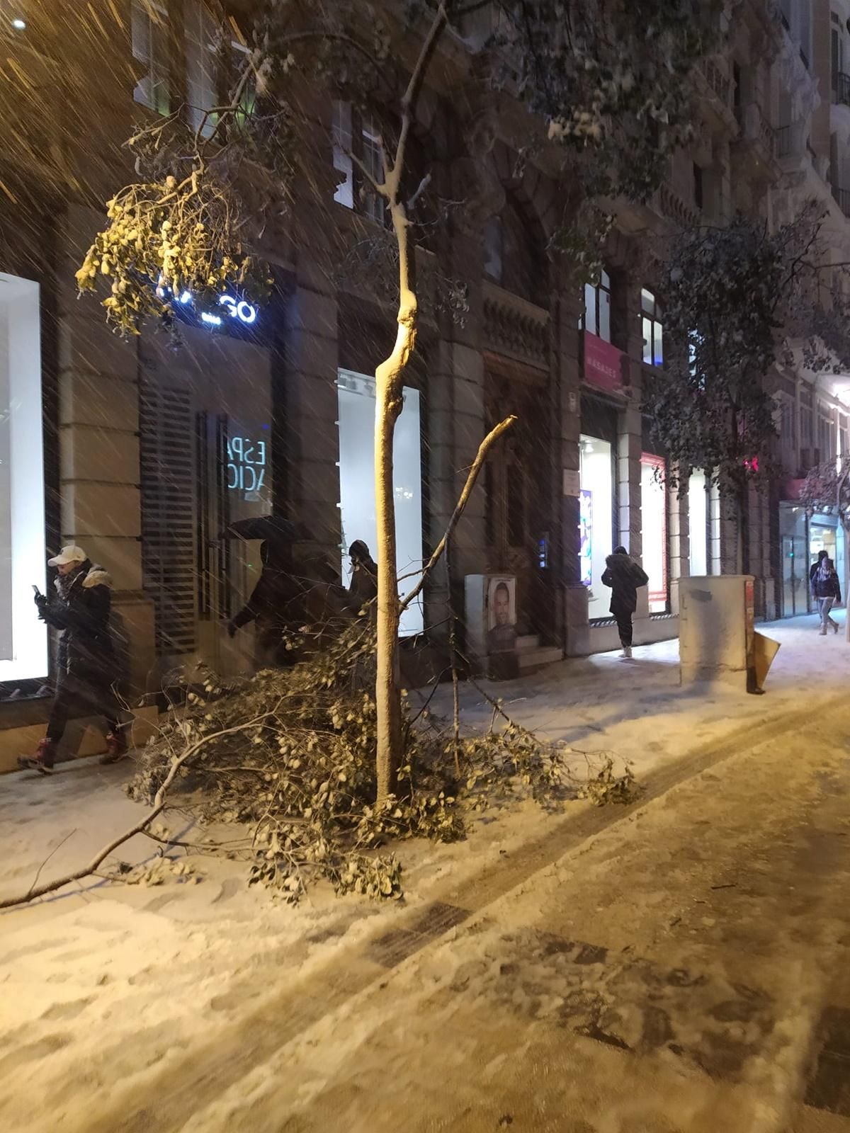 Ramas y árboles caídos en Malasaña a causa de la nieve