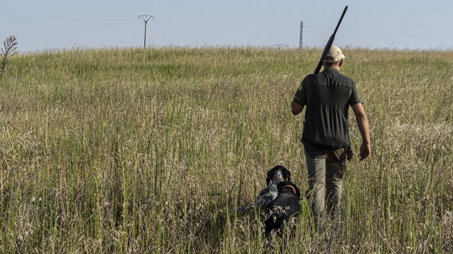 El Tribunal Supremo ratifica la invalidez del decreto de 2018 de la Junta de Castilla y León sobre la regulación de la caza