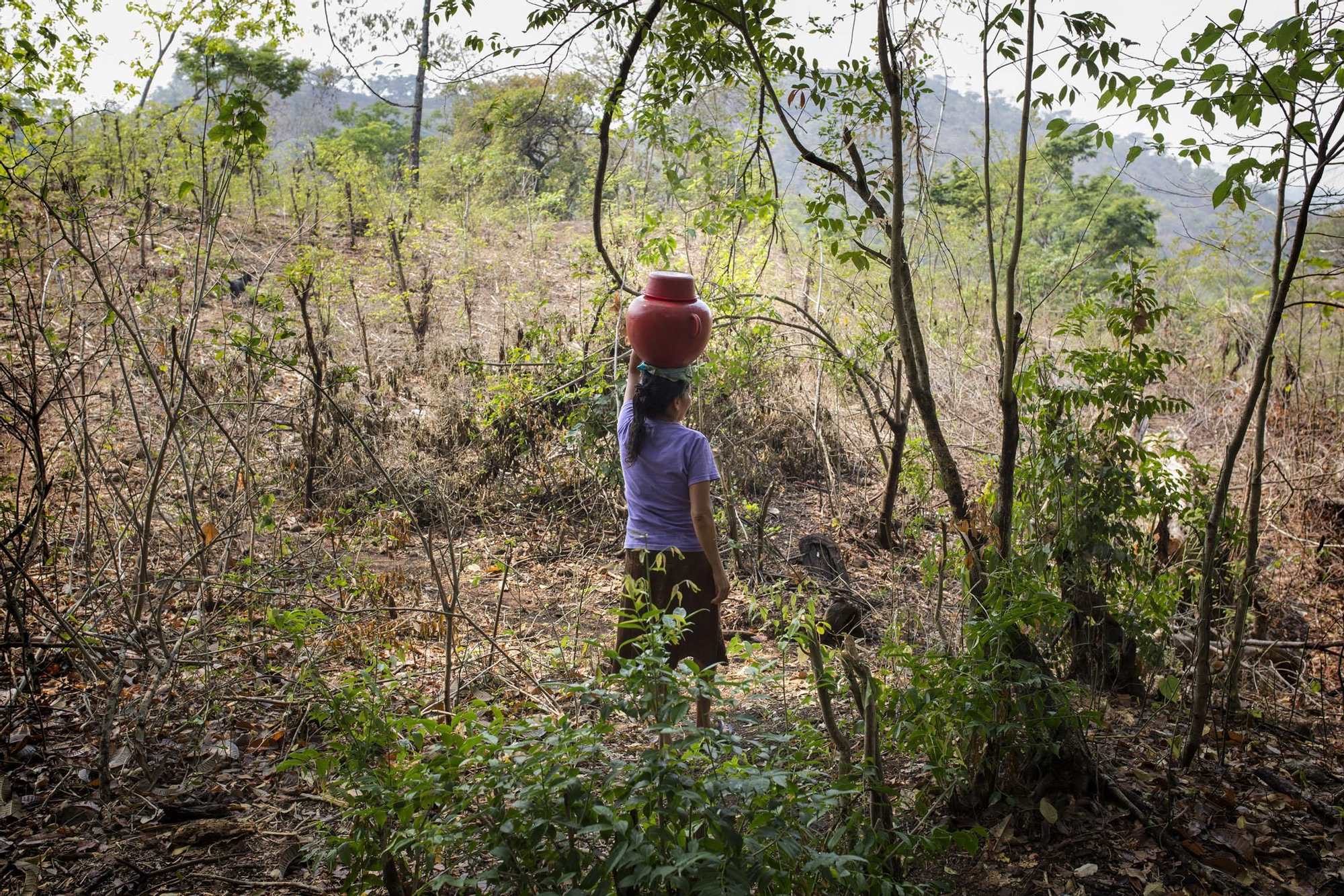 Vidalina es la presidenta de la organización ADES (Asociación de Desarrollo Económico y Social) de el departamento de Cabañas, una zona fuertemente afectada por la investigación minera. Vidalina madruga todos los días para ir a recoger agua a un pozo a centenares de metros de su hogar ya que en sus 47 años de vida nunca ha tenido acceso al agua en su casa.