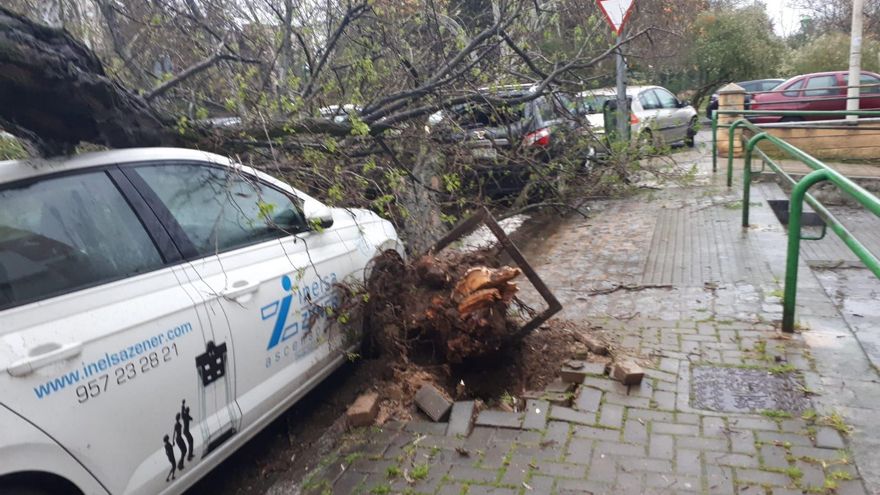 El viento y la lluvia causan más de un centenar de incidencias en Córdoba