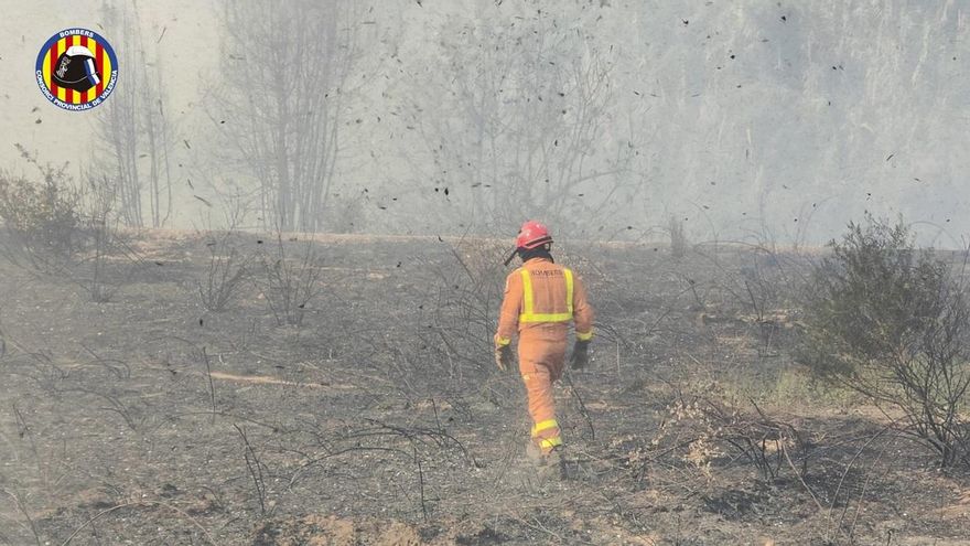 El incendio forestal de Montitxelo tuvo su origen en una descarga de una línea eléctrica