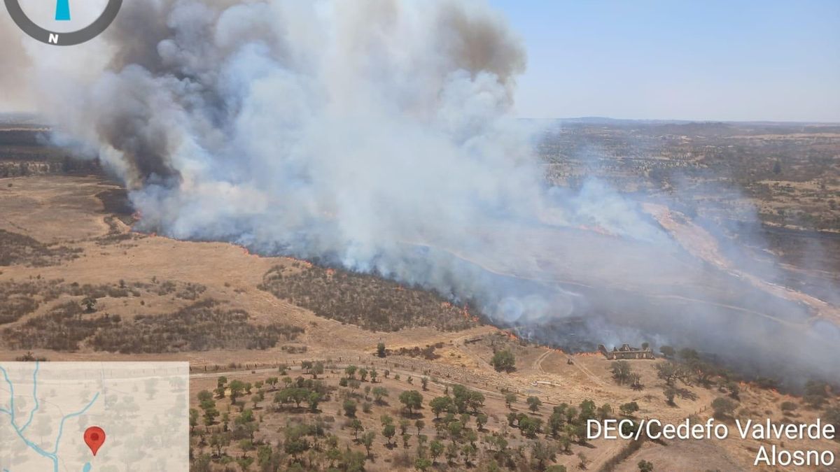 Incendio declarado en Alosno (Huelva).
