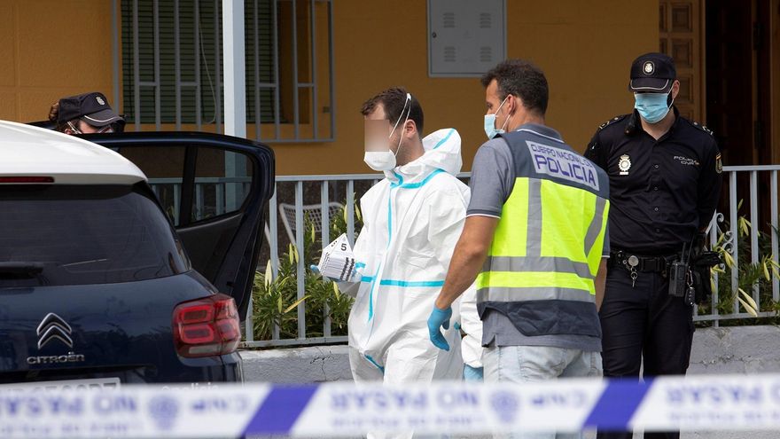 La detenida por matar a la mujer con la que convivía se entregó a la Policía