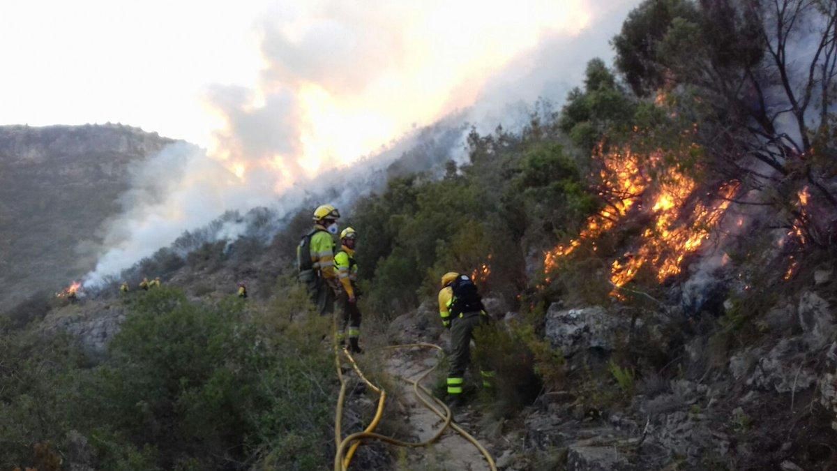 Las brigadas forestales trabajando en el incendio de Llutxent