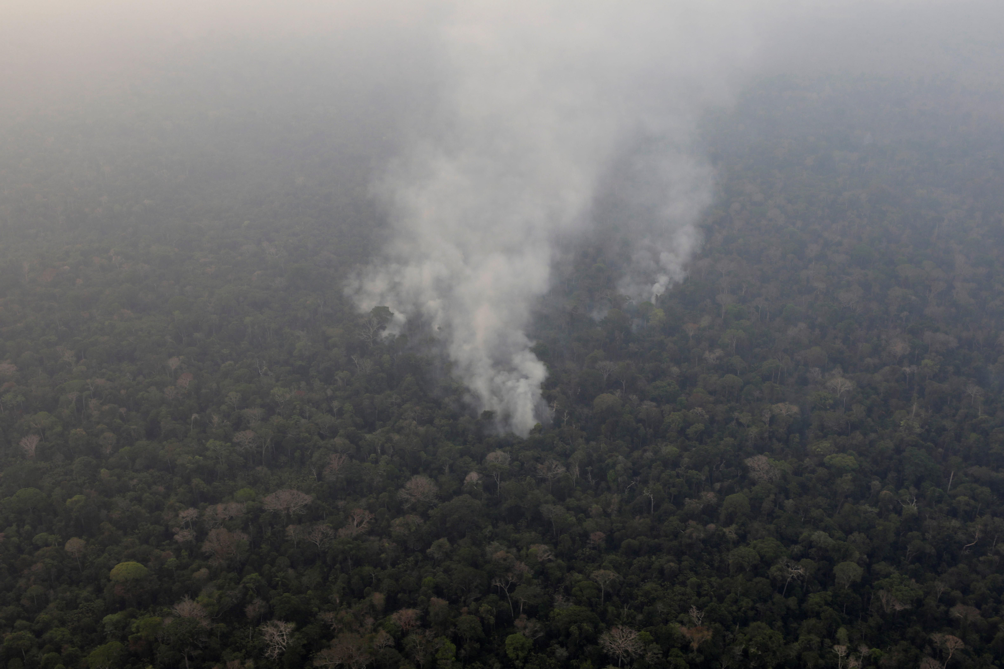 El humo asciende entre los árboles de una zona boscosa en el Amazonas, Brasil 21 de agosto